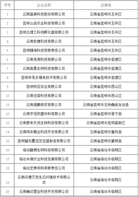 云南科技型中小企业再添新军 第九批33家企业拟入库国家名单
