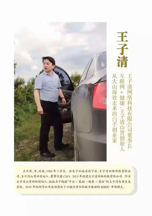 云南王子清网络科技简介及赶马商城创业模式 — 探索云南科技创新的新路径