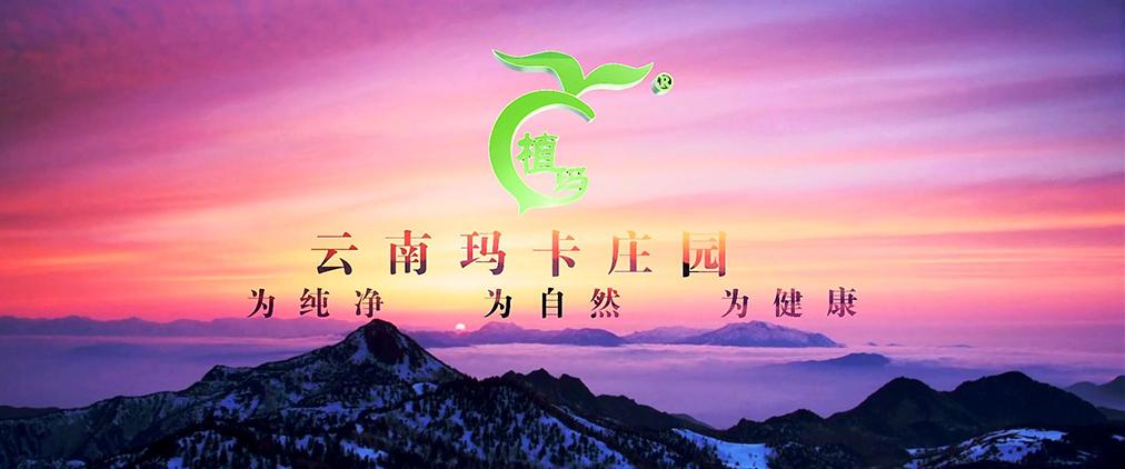 云南玛卡农业科技 高原特色生物产业的科技赋能之路